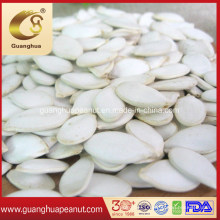 Export Quality Shine Skin Pumpkin Seeds